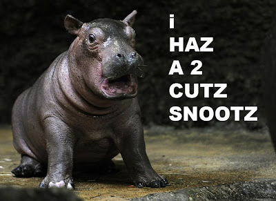 lol hippo