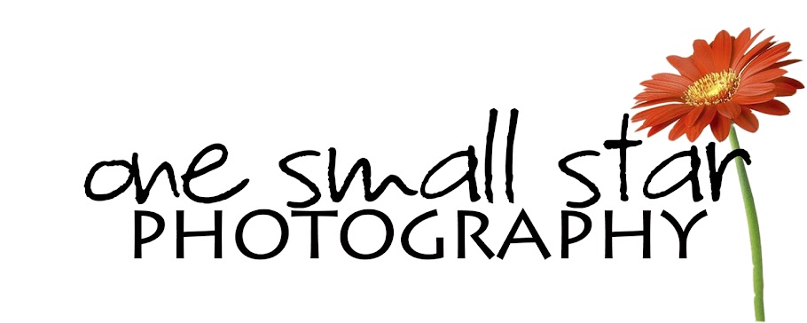 one small star photography