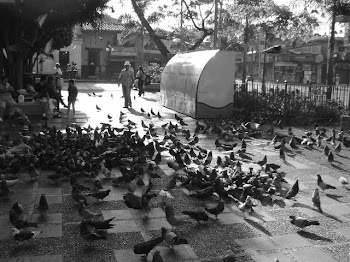 ADMINISTRADOR DE ESTUDIANTES. FOTO DE MEDELLIN.