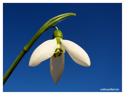 rencontre senior vendee