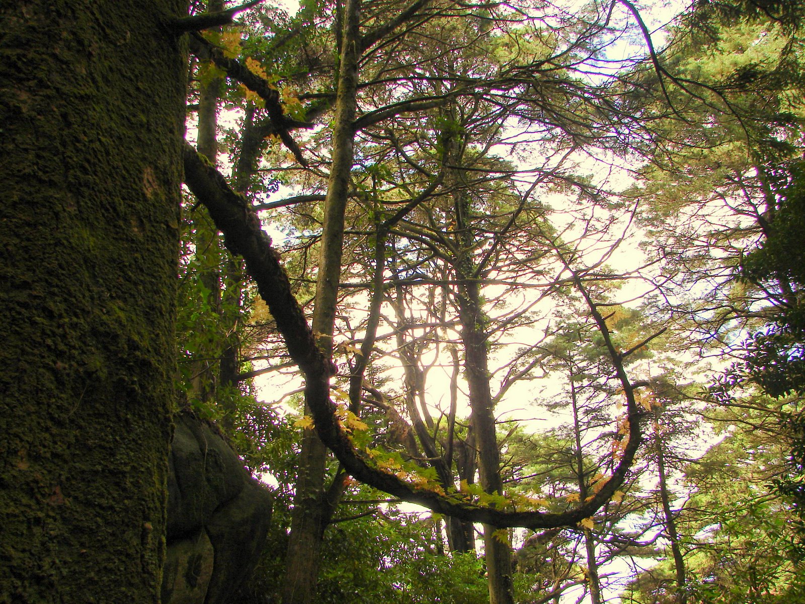 [DSC02725.JPG]