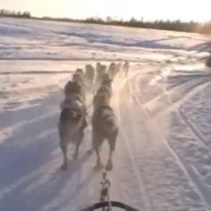 [NewCameraTestRun.jpg]