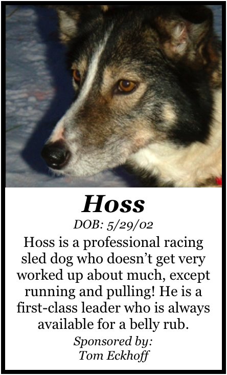 [HossPoster.jpg]