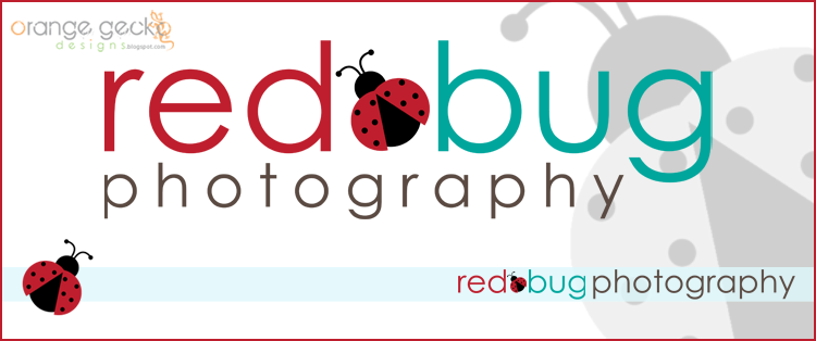 logo design for red bug photography