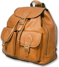 leather knapsack
