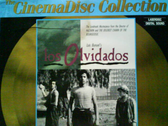 [OLVIDADOS.JPG]