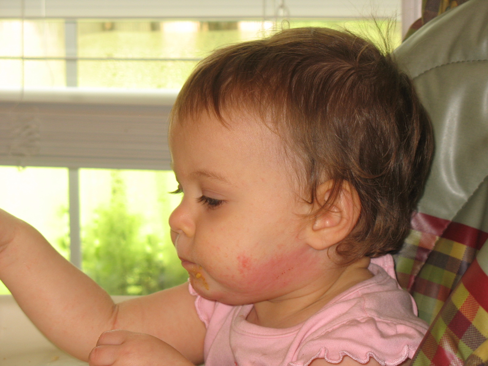 Hives in the Kitchen Food Families