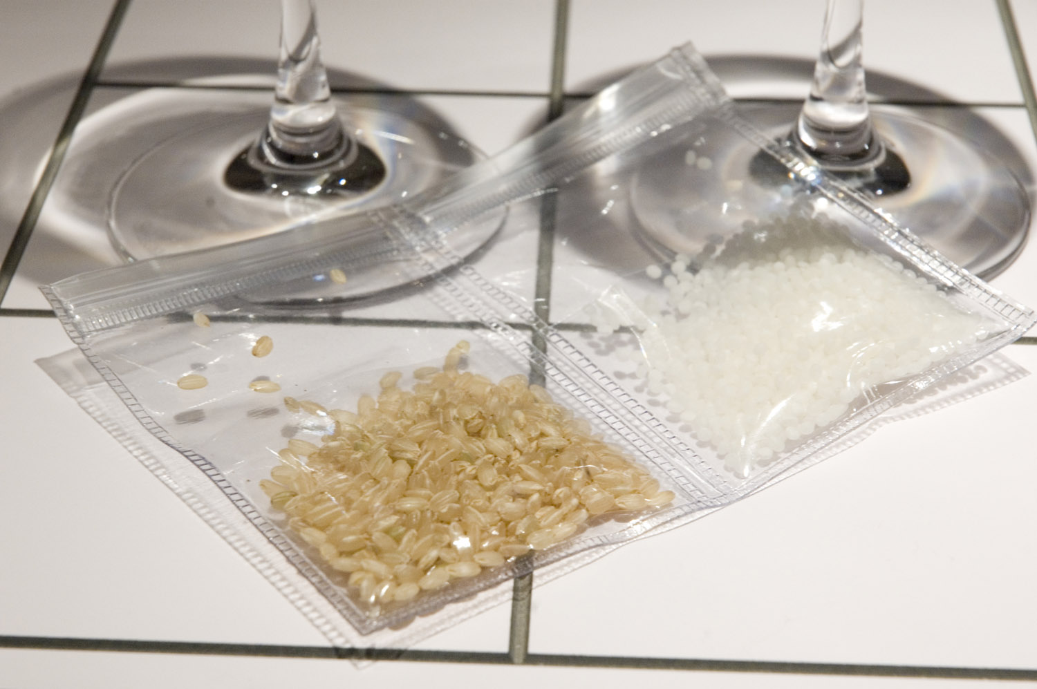 [sake_DSC_4736.jpg]