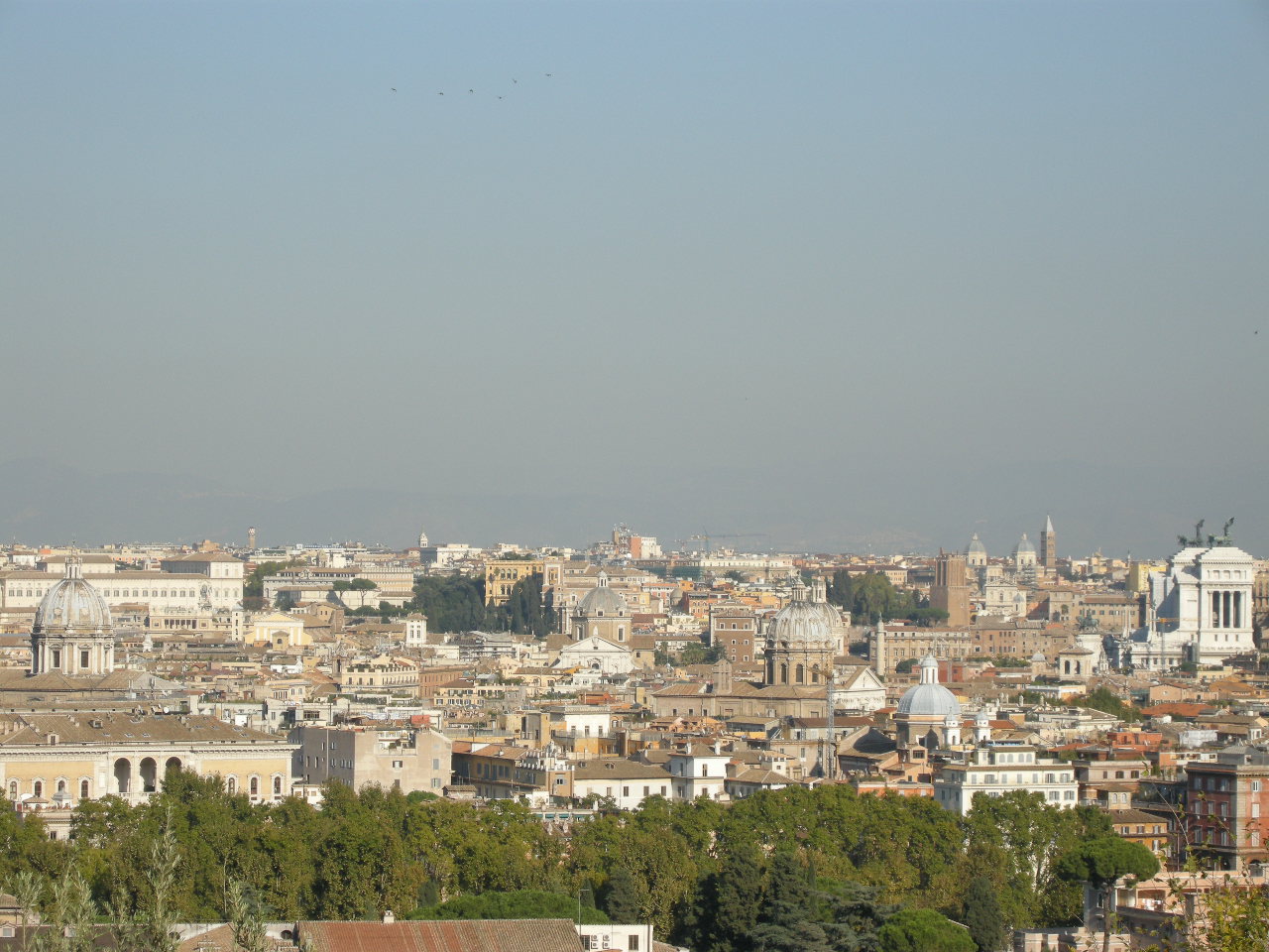 [DSCN0518.JPG]