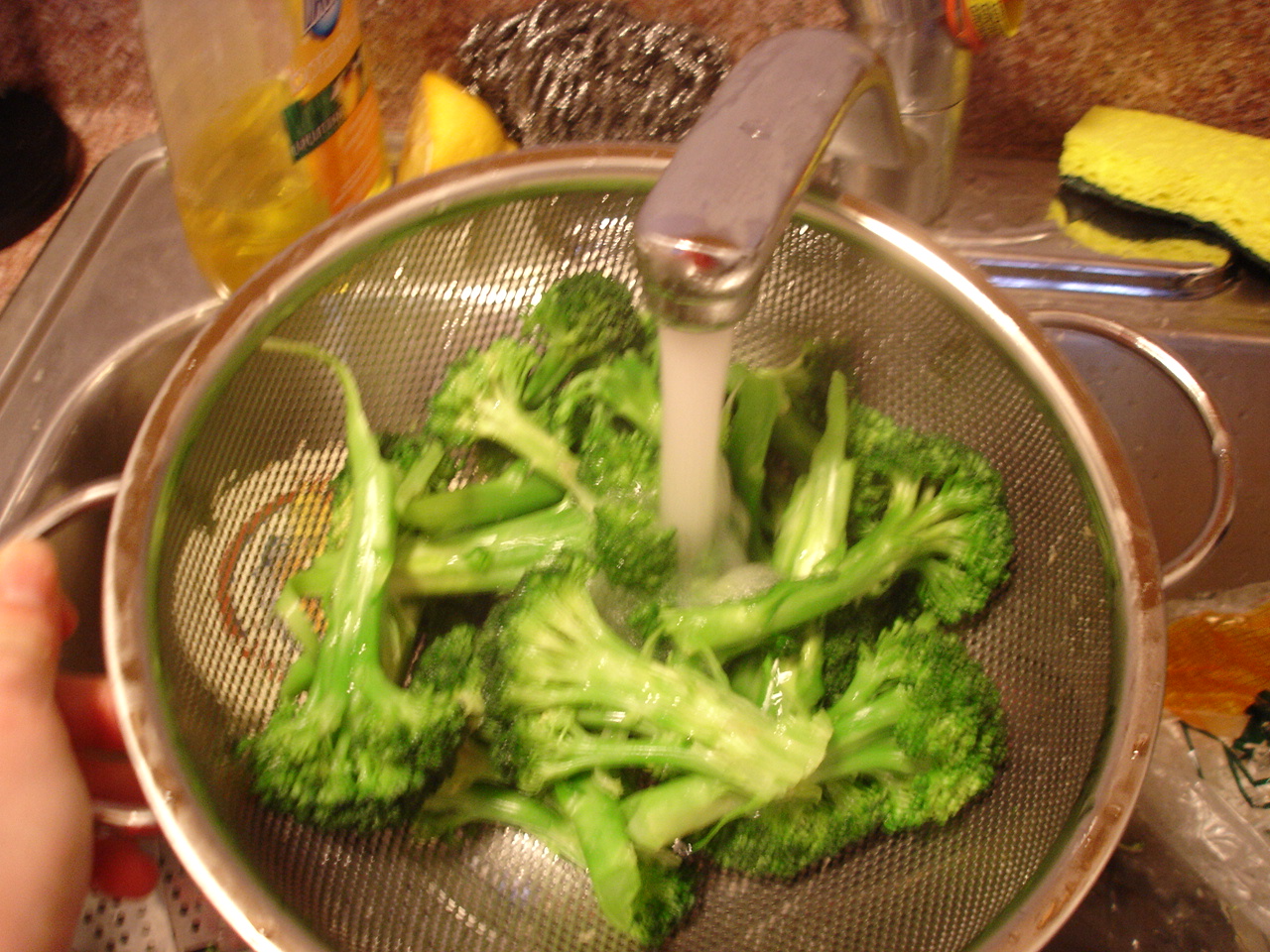 [DSC02323.JPG]