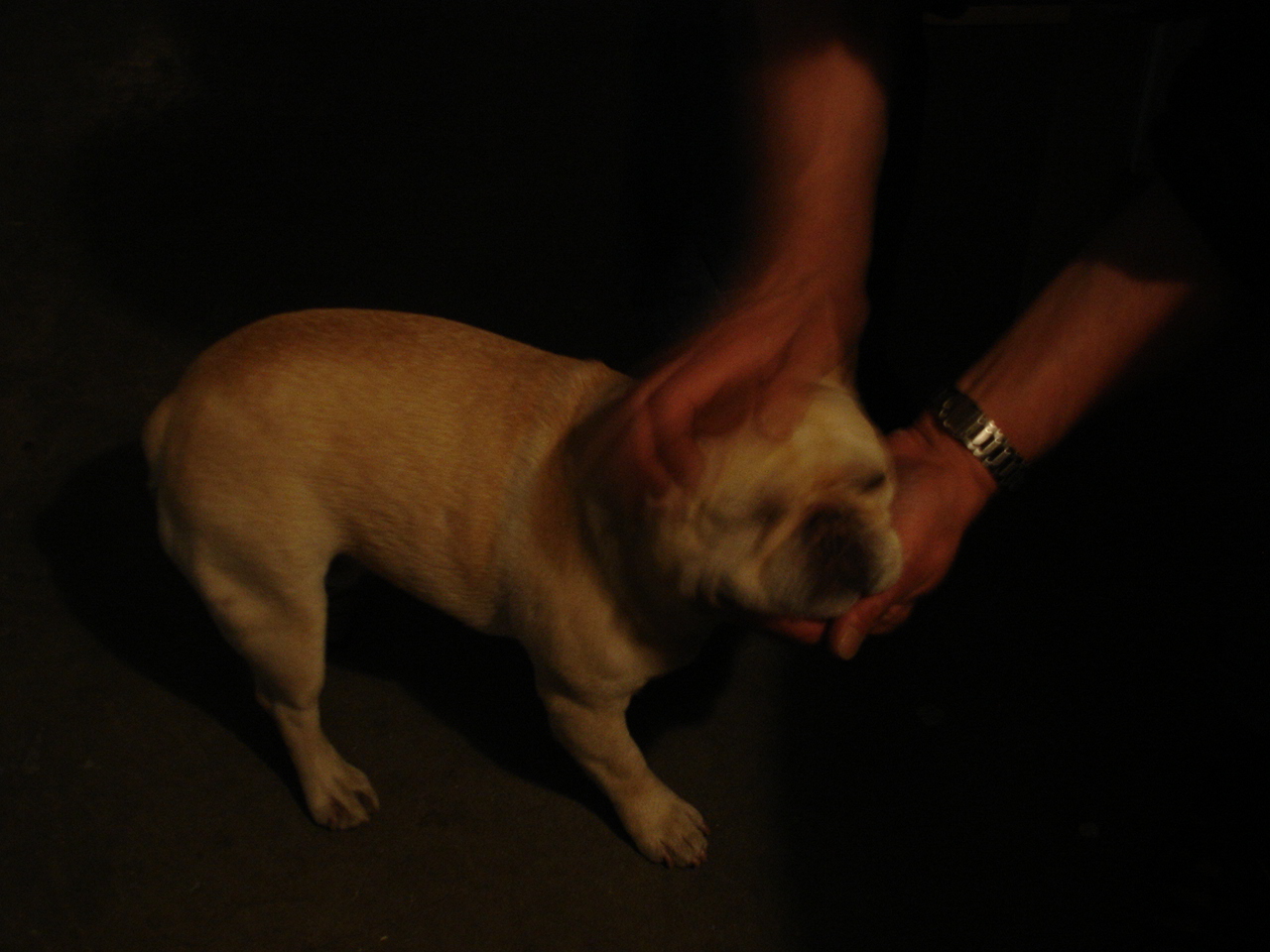 [DSC02964.JPG]