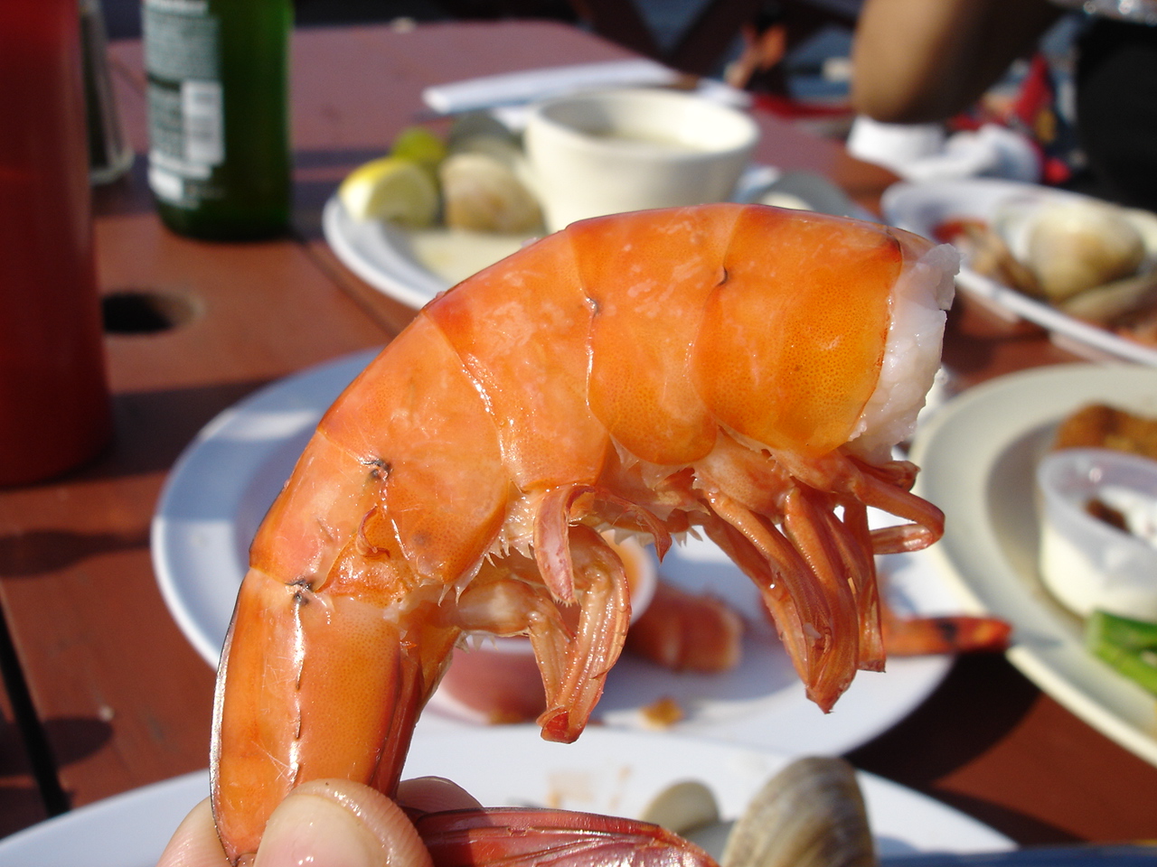 [DSC03893.JPG]