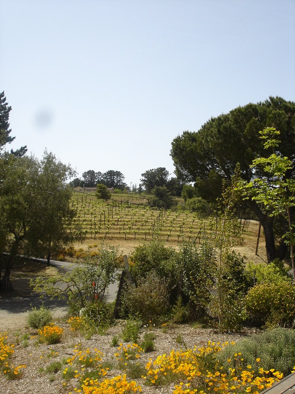 [DSC04885.JPG]