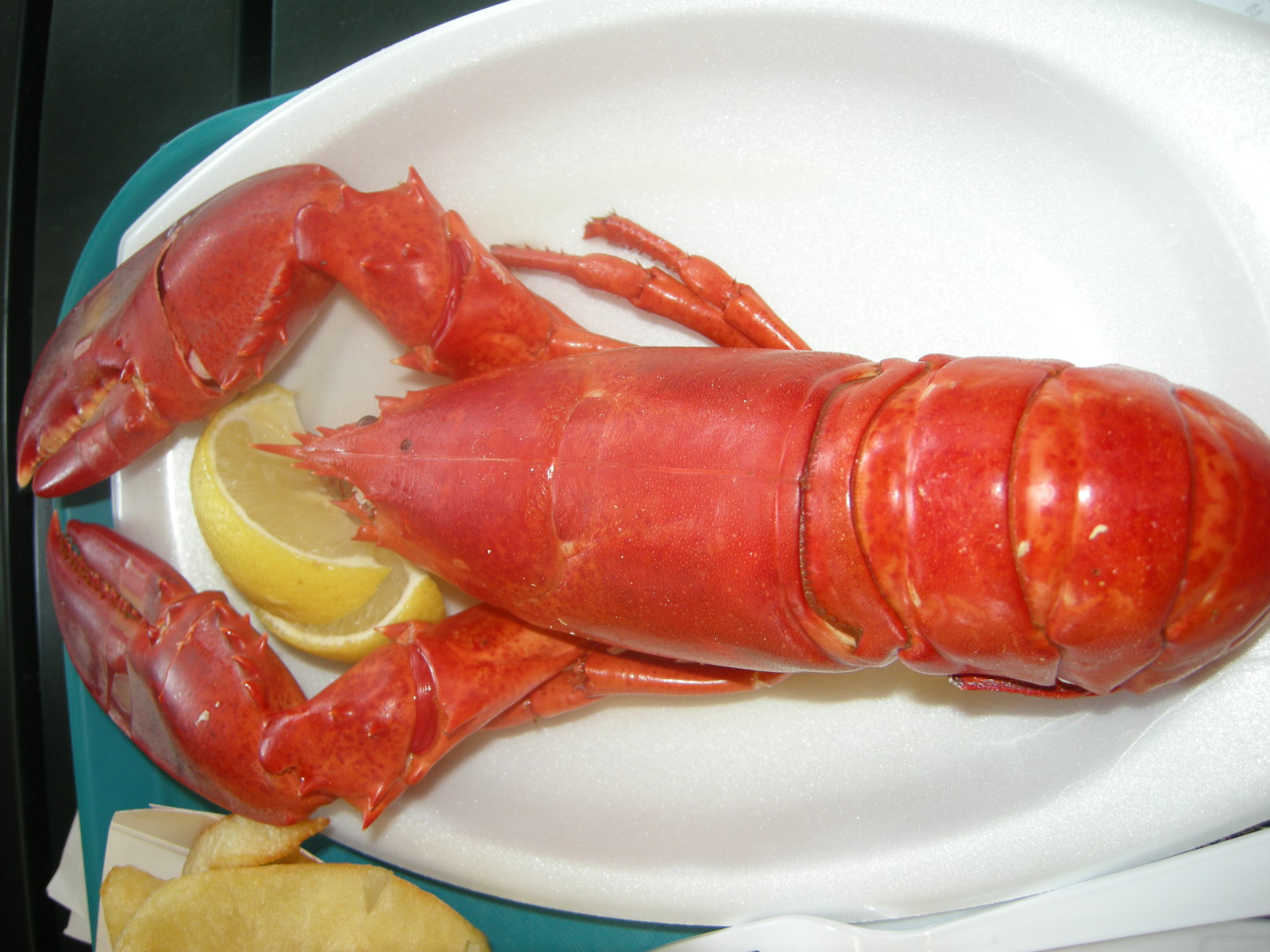 [DSCN2407.JPG]