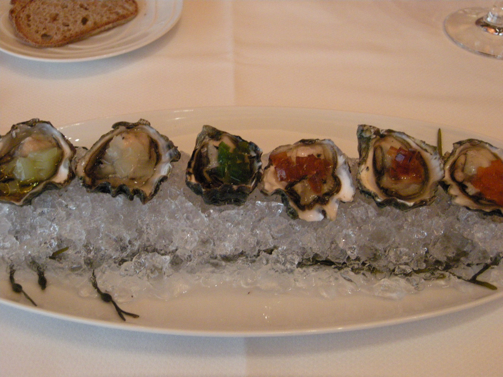 [DSCN2619.JPG]