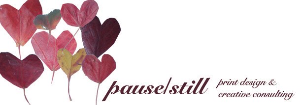pause/still