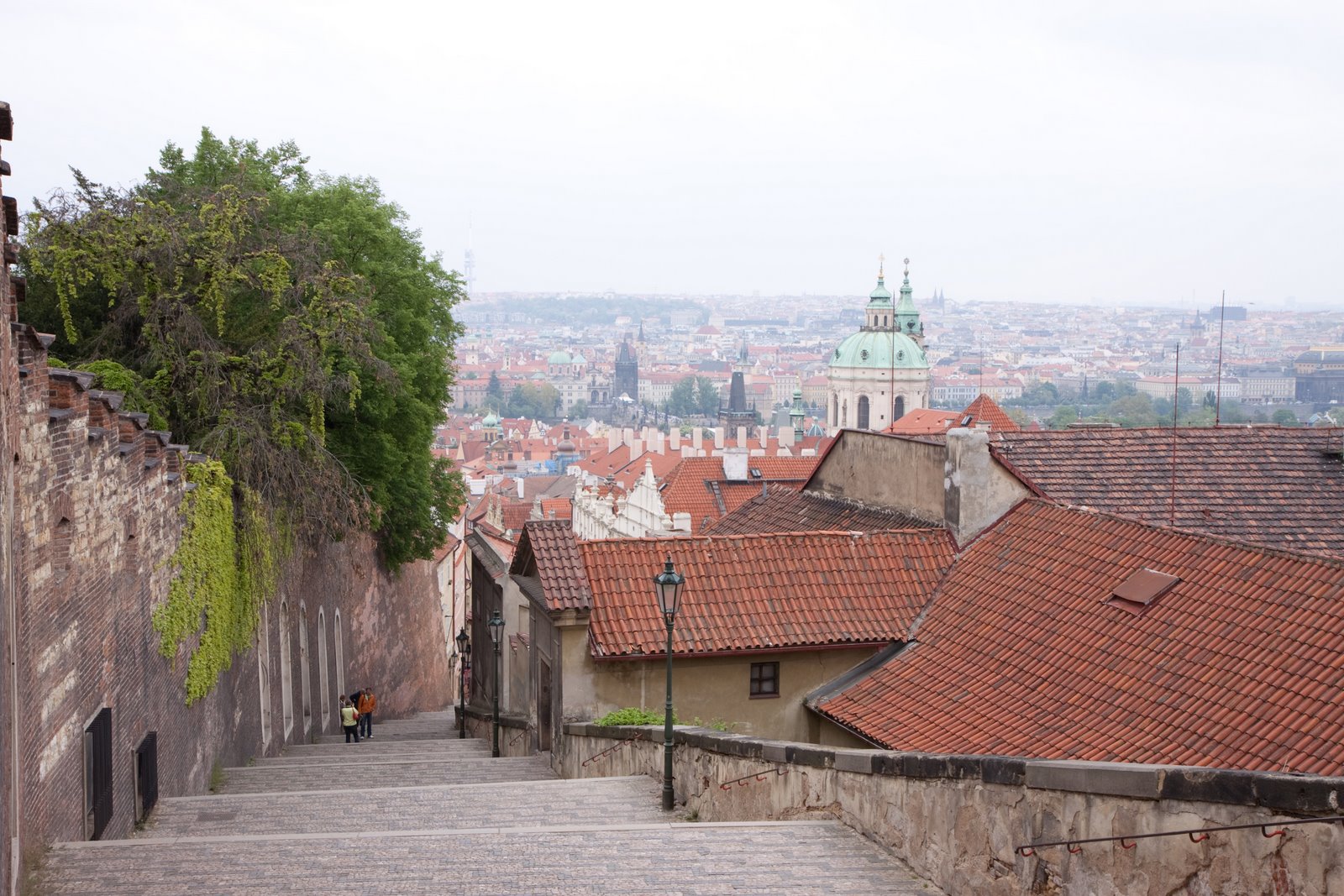 [20090429-20090429-IMG_1360.jpg]