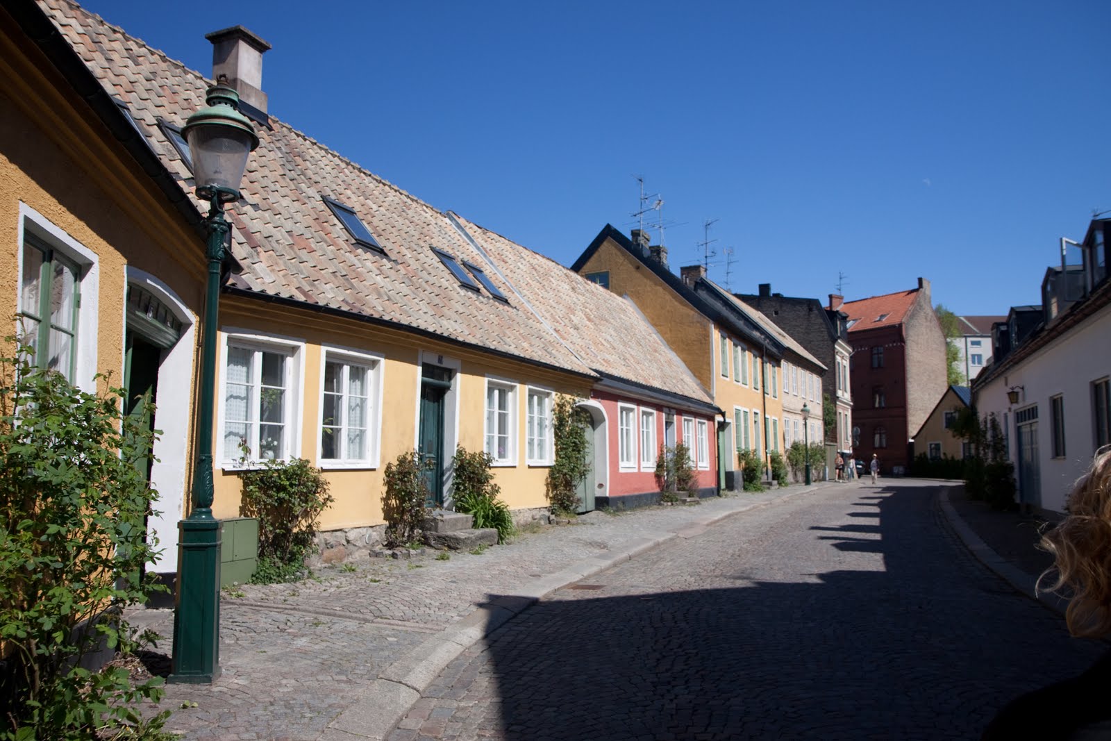 [20090501-20090501-IMG_1734.jpg]