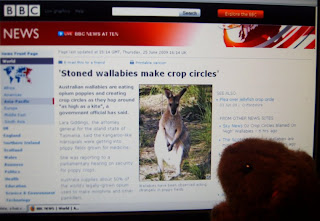 The Wombat reads news about wallabies