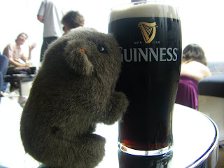 The Wombat and a pint of Guinness