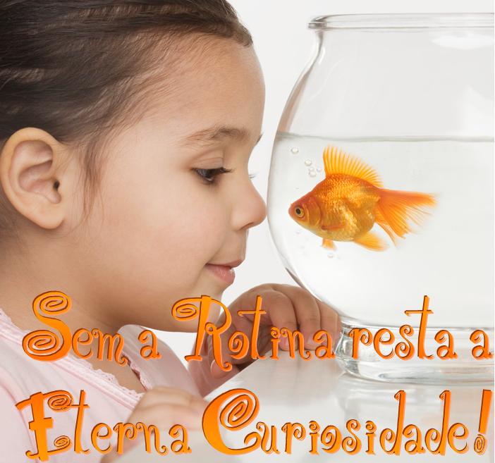 [eternacuriosidade.JPG]