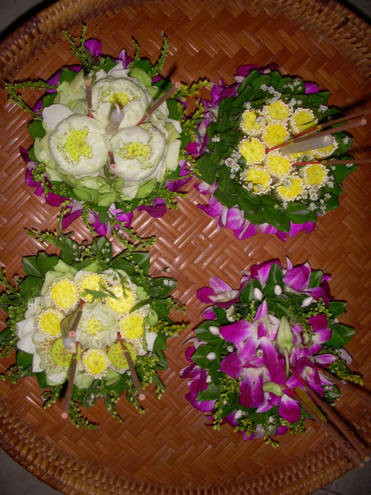 [DSCN2158.JPG]