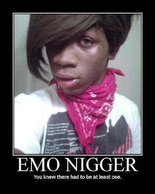 http://1.bp.blogspot.com/_AIel4pI79UM/SLfx9_UAl0I/AAAAAAAAAIA/xR1QnFOvsCU/s400/emonigger.jpg