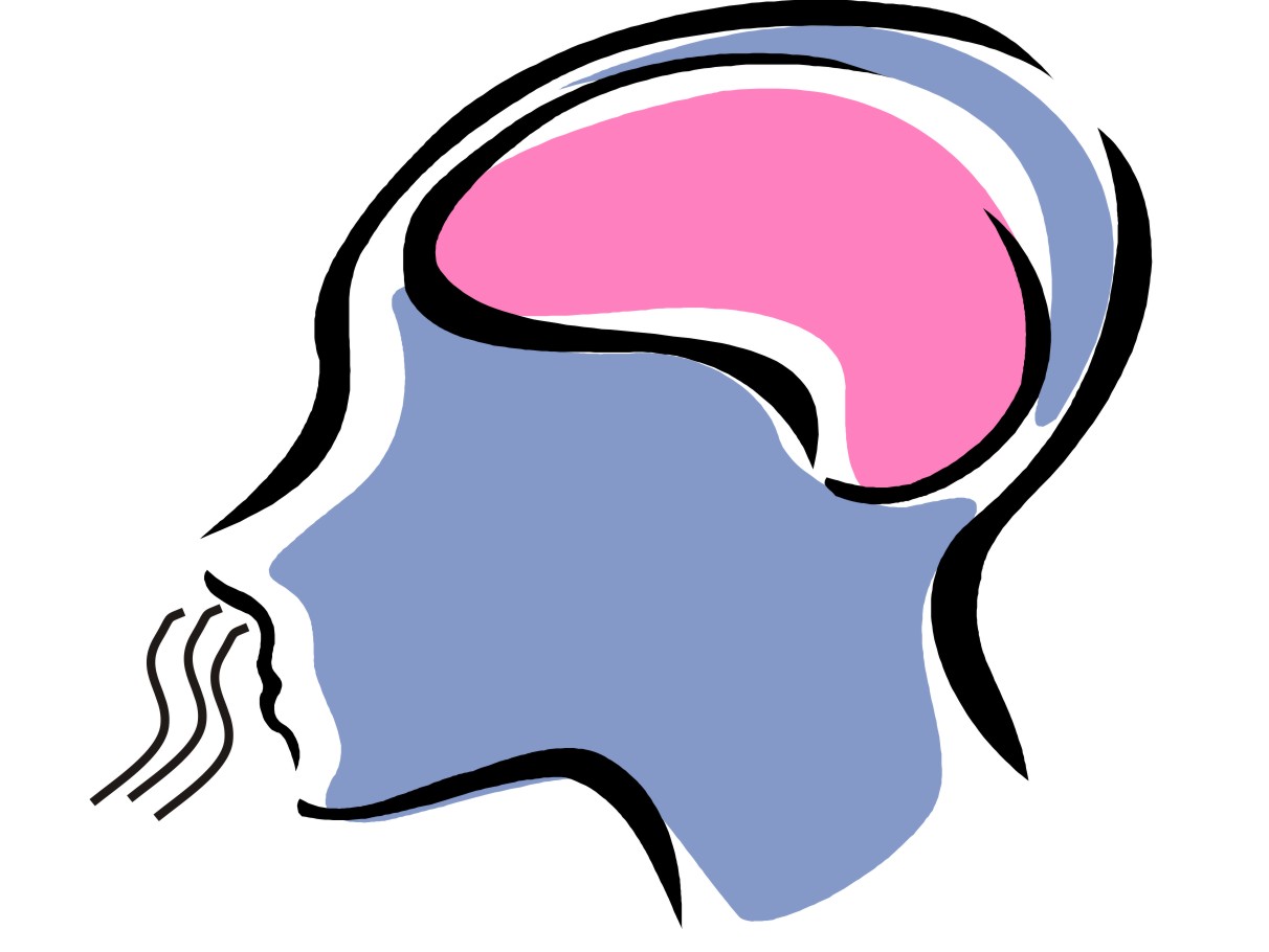 [nose+and+brain.jpg]