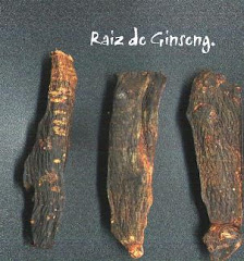 Raices de ginseng.