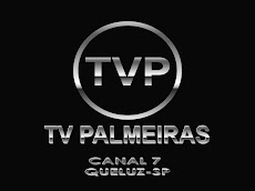 TV PALMEIRAS, (ainda familiar)