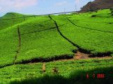 West java Place Interest
