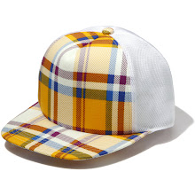 Bape Plaid Hat