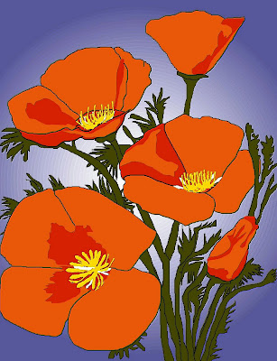 california poppy illustration. the California Poppy.