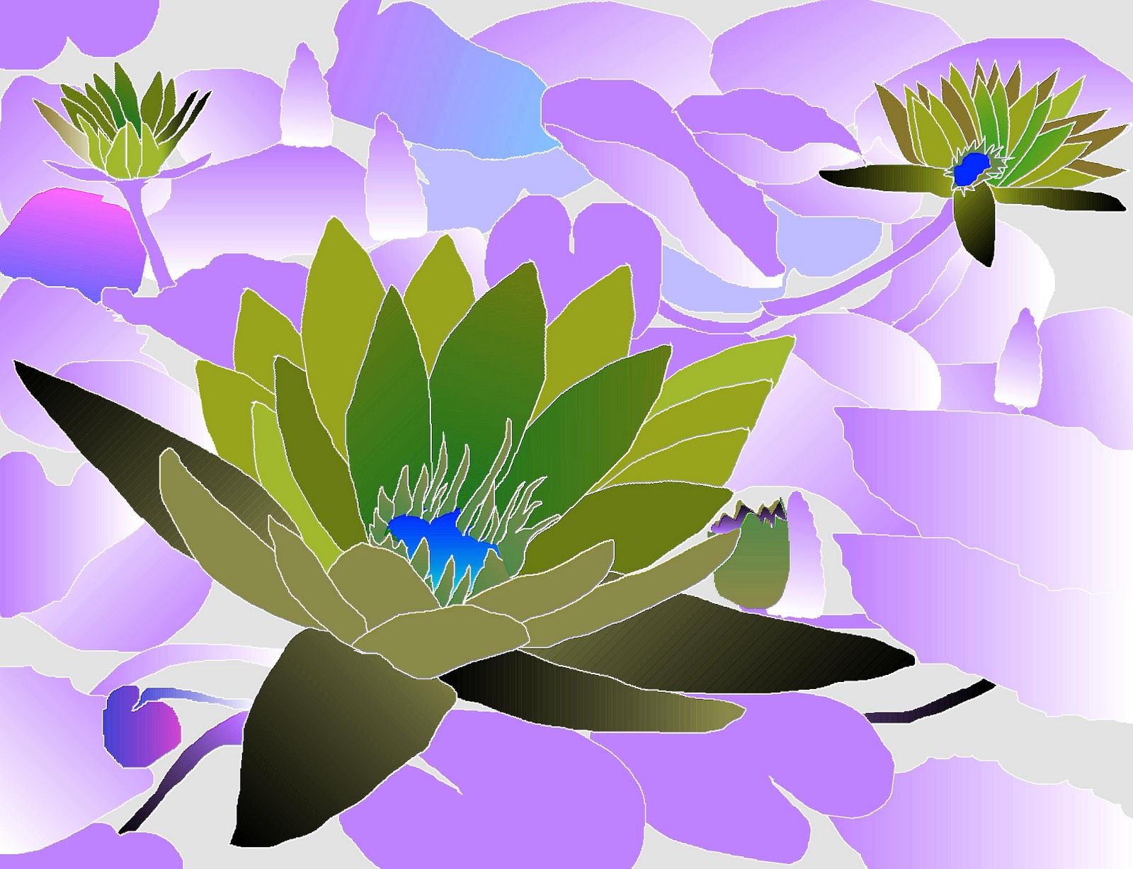 Water Lily Drawing