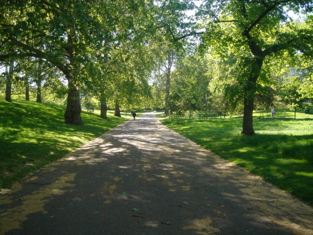 [DSC03948.JPG]