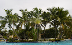 República Dominicana - PLaya Bávaro