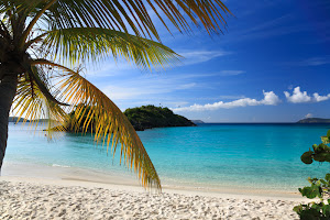 הישרדות הישראלי