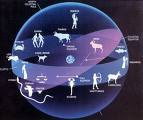 26,000 YEAR CYCLE OF THE ZODIAC=ANIMAL CIRCLE