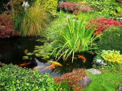 Garden Water Features on Garden Water Features   Discover How To Choose An Ideal Water Feature