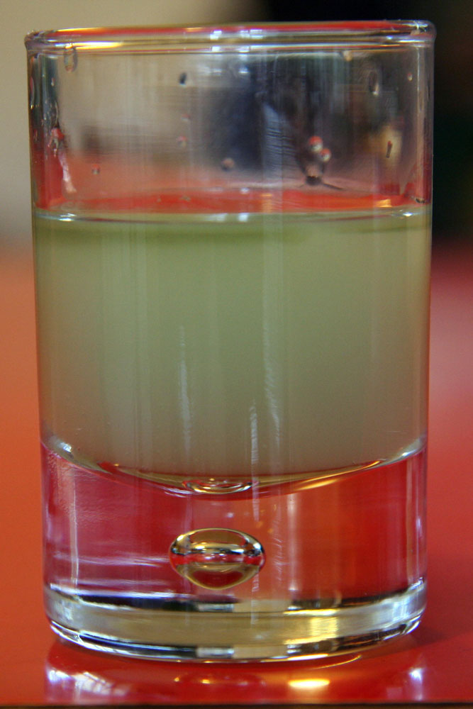 The Institute for Alcoholic Experimentation Observations on the