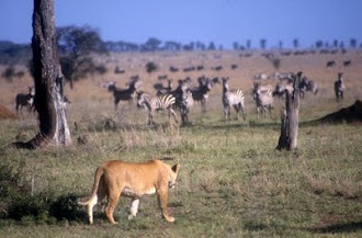 TANZANIA