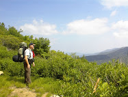 In the Shining Rock Wilderness