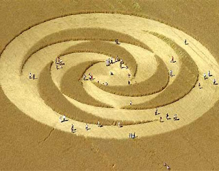 crop circle crop circle