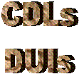 Commercial Driver’s License, CDL, D.U.I., Traffic Tickets, Florida Attorney, Federal Criminal Defense