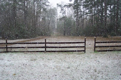 Snowing in March!