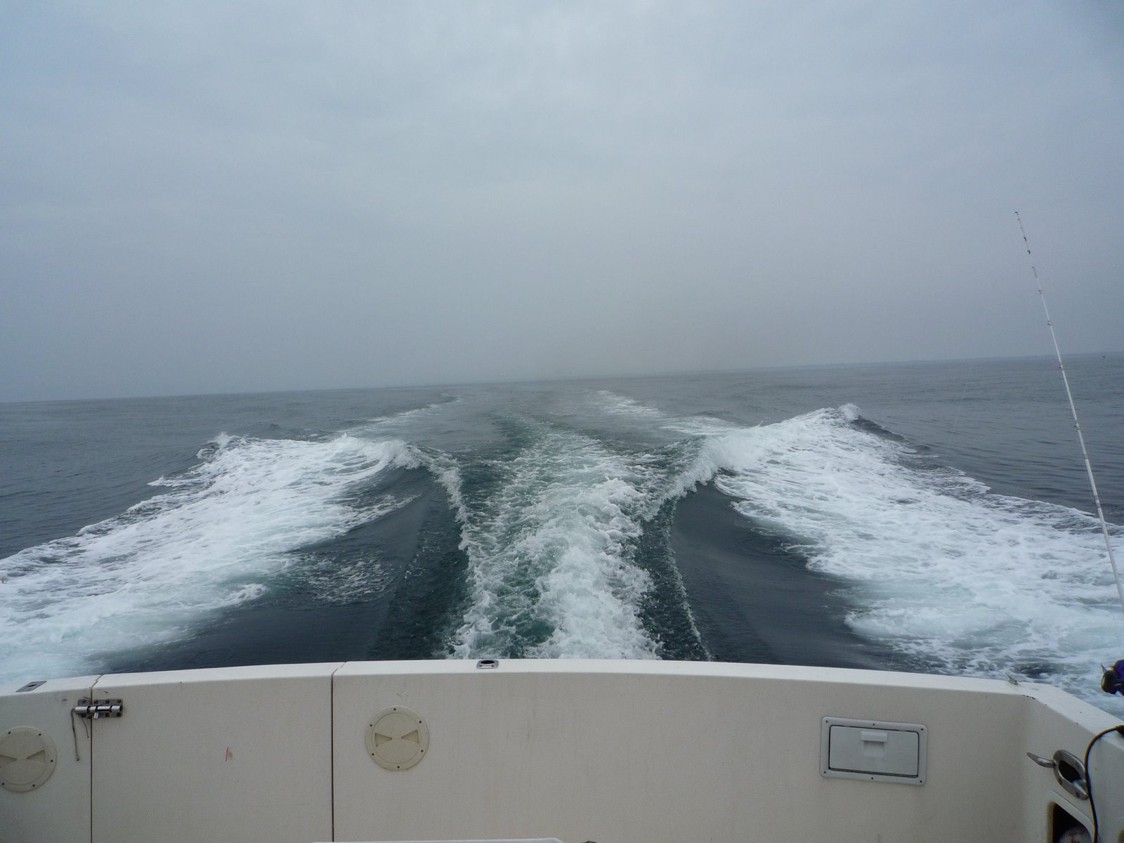[P1000054.JPG]