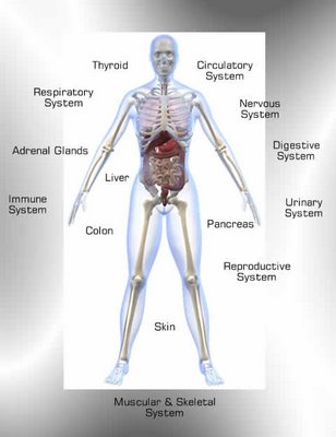 Medical Transcription