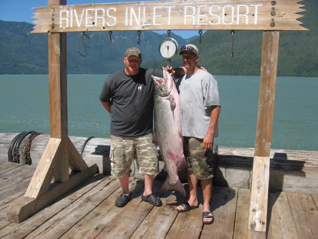[ChinookSalmon.jpg]