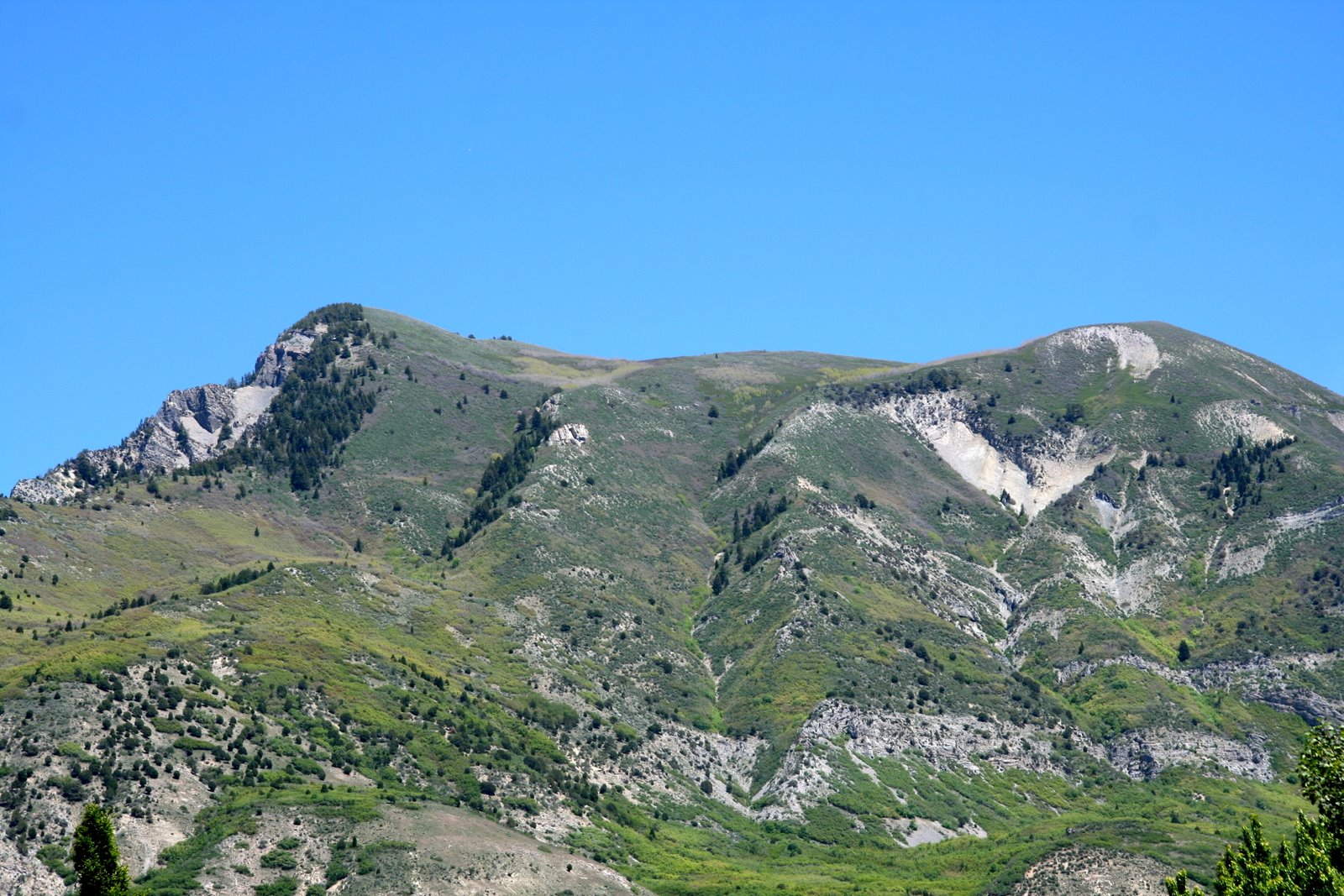[IMG_8703.JPG]
