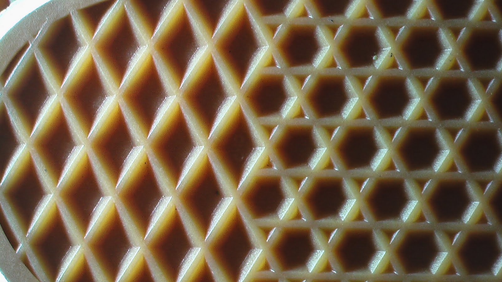 vans waffle sole